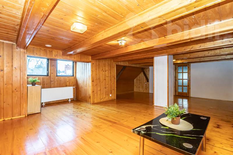 Prostorný dům Holostřevy