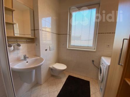 Pronájem bytu, 1+kk, 48 m²