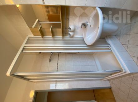 Pronájem bytu, 1+kk, 48 m²