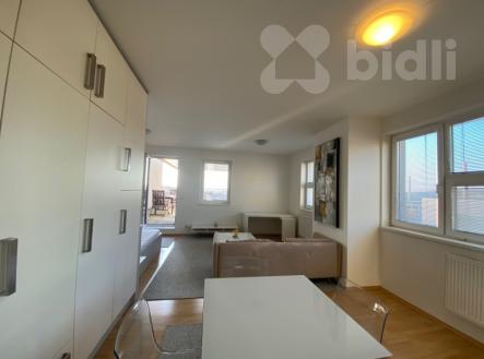 Pronájem bytu, 1+kk, 48 m²