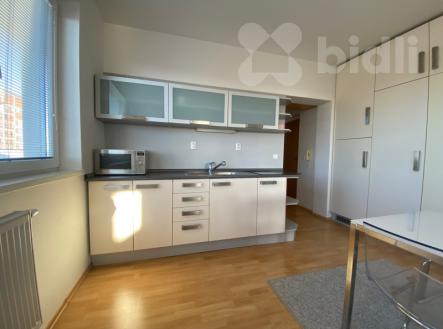 Pronájem bytu, 1+kk, 48 m²