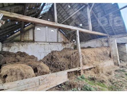 Prodej pozemku pro bydlení, 1 943 m²