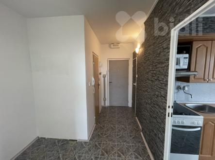 Pronájem bytu, 3+1, 71 m²