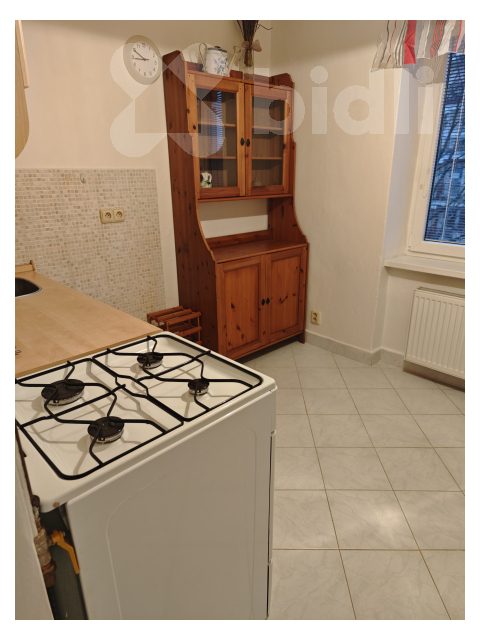 Byt 1+1 v klidné lokalitě nedaleko centra Pardubic, 35 m2;