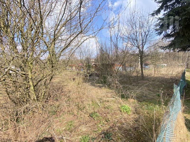 Prodej zahrady 254m2, Dvůr Králové nad Labem