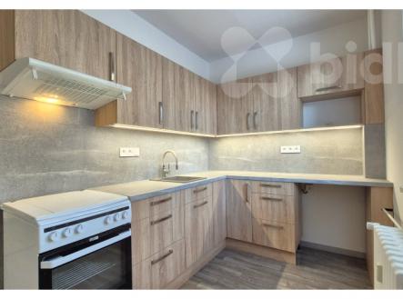 Pronájem bytu, 2+1, 53 m²