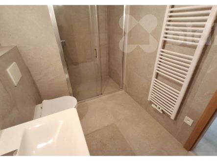 Pronájem bytu, 1+kk, 34 m²