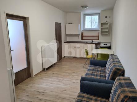 Pronájem bytu, 3+kk, 45 m²