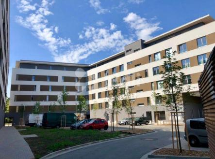 Pronájem bytu, 1+kk, 32 m²