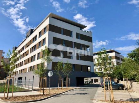 Pronájem bytu, 1+kk, 32 m²