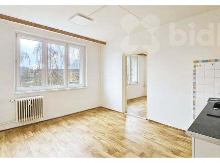 Pronájem bytu, 1+1, 38 m²