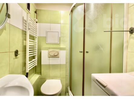 1+1, ul. Ruská, Teplice