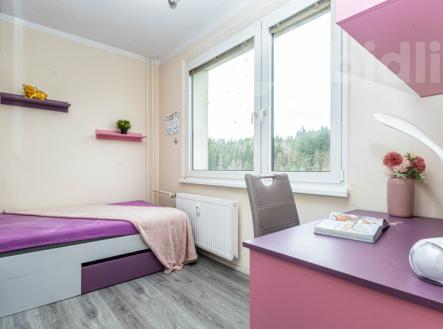 Prodej bytu 4+1 s lodžií, Náchod