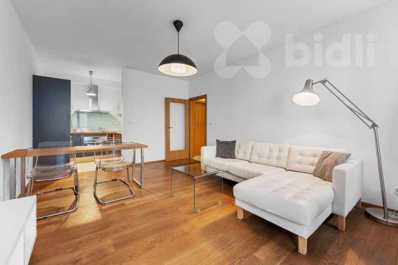 Pronájem bytu 2+kk, 55m2