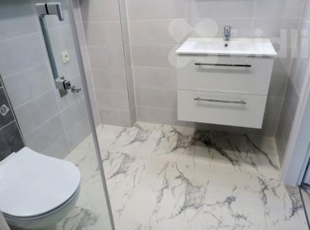 Pronájem bytu, 2+1, 54 m²