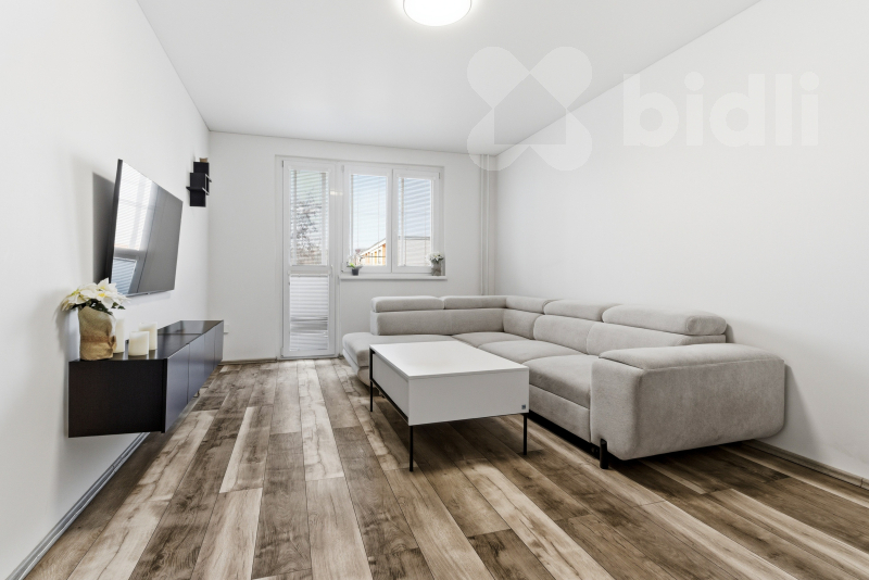 Pronájem, byt 2+1 s lodžií, Sídliště U Nového nádraží, Bílina