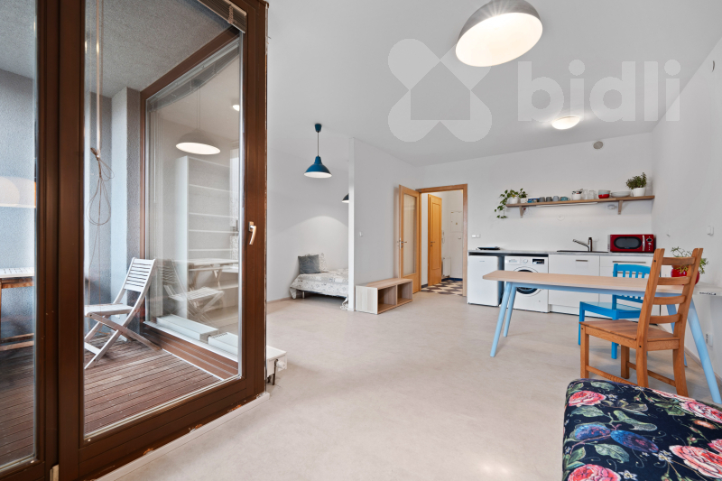 Pronájem bytu 1+kk (38 m²) Podolí