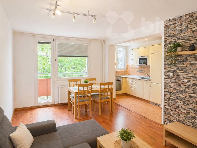 Pronájem bytu 2+kk, 44 m2, ul. Jar. Haška, České Budějovice