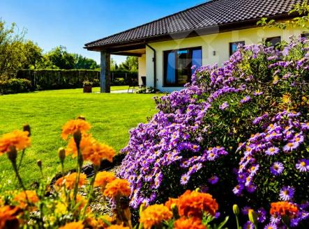 Prodej domu/vily, 220 m²