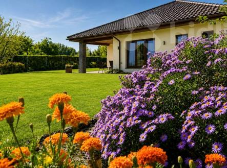 Prodej domu/vily, 220 m²