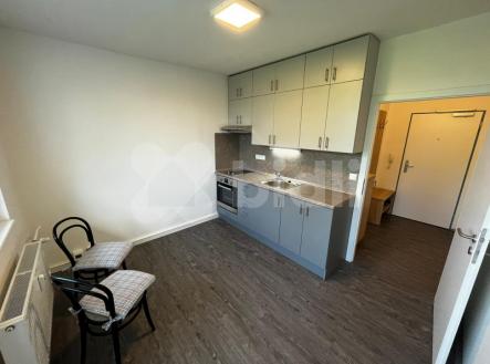 Pronájem bytu, 1+1, 29 m²