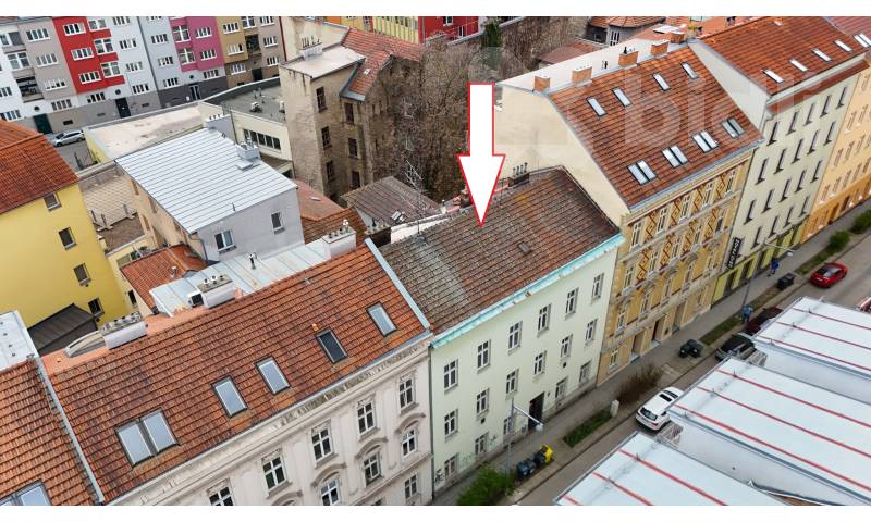 foto anenska dum