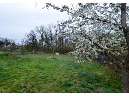 Prodej pozemku, zahrada, 815 m²