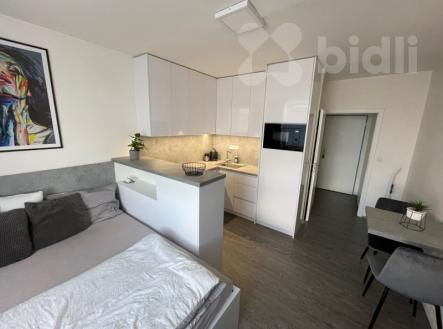Pronájem bytu, 1+kk, 25 m²