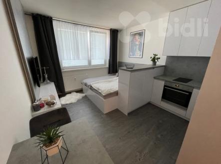Pronájem bytu, 1+kk, 25 m²