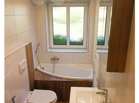 Pronájem bytu, 3+1, 53 m²