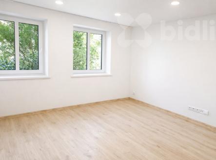 Pronájem bytu, 3+1, 53 m²