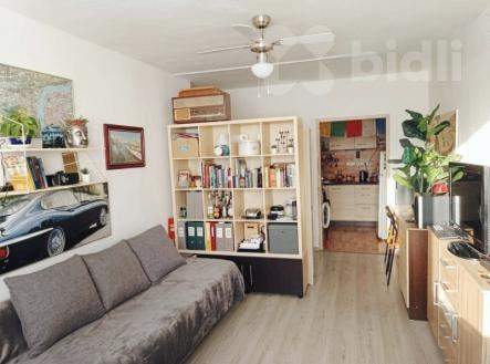 Prodej bytu, 2+kk, 45 m²