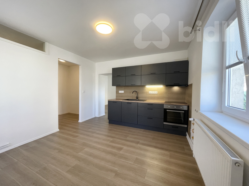 Pronájem bytu 2+1 - Dvůr Králové