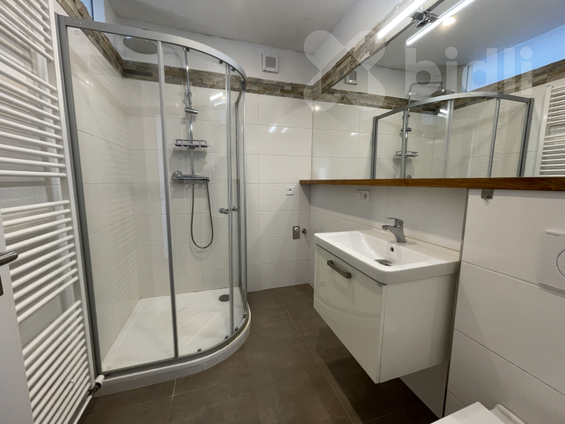 Pronájem bytu 2+1 - Dvůr Králové