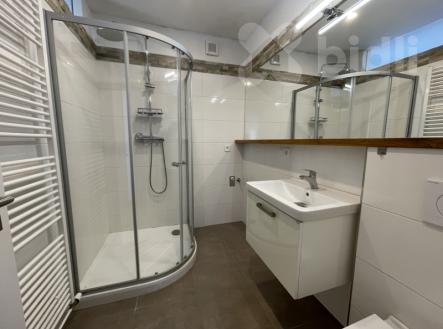 Pronájem bytu, 2+1, 65 m²