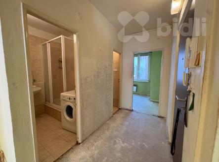 Prodej bytu, 2+1, 58 m²