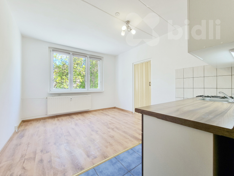 Pronájem bytu 1+1, 35 m2, Jirkov, ul. Vinařická