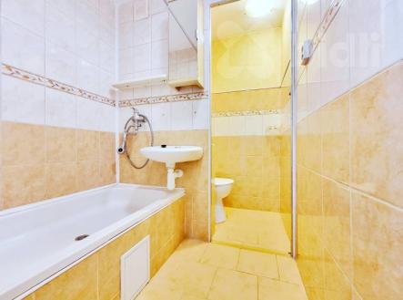 Pronájem bytu, 1+1, 37 m²