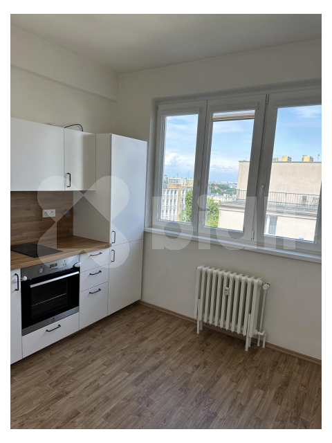 Pronájem bytu 1+1, 47m2