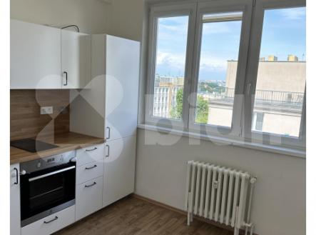 Pronájem bytu, 1+1, 47 m²