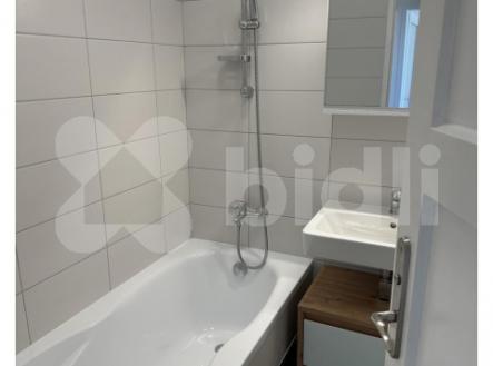 Pronájem bytu, 1+1, 47 m²