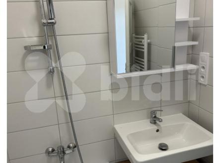 Pronájem bytu, 1+1, 47 m²
