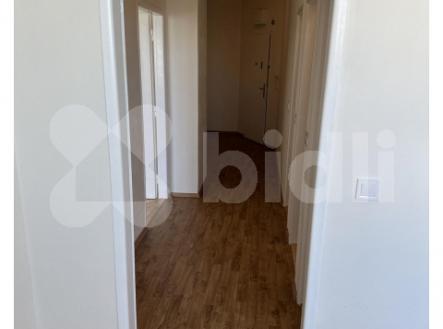 Pronájem bytu, 1+1, 47 m²