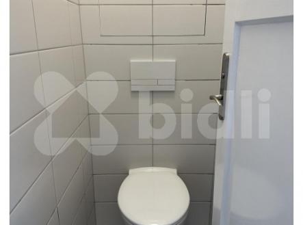 Pronájem bytu, 1+1, 47 m²