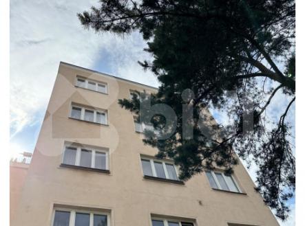 Pronájem bytu, 1+1, 47 m²