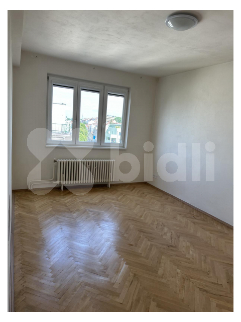 Pronájem bytu 1+1, 47m2
