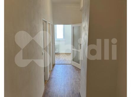 Pronájem bytu, 1+1, 47 m²