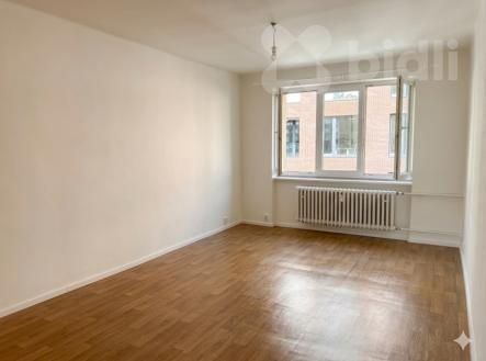 Pronájem bytu, 2+1, 51 m²