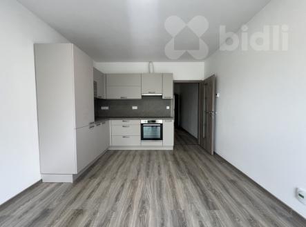 Pronájem bytu, 1+kk, 37 m²