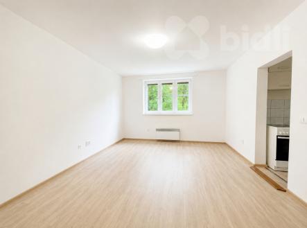 Pronájem bytu, 1+1, 28 m² obrázek